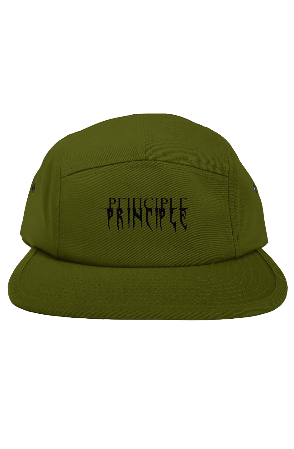 Principle 5 Panel