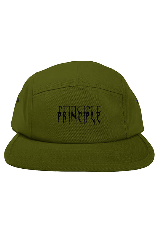 Principle 5 Panel